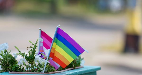 A courthouse facade with a rainbow flag, symbolizing legal advances for LGBTQ rights