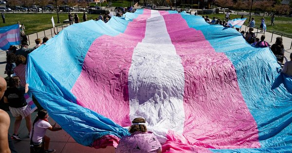 Demonstrators hold a transgender pride flag at a protest