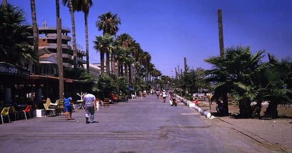 The palm-lined Finikoudes seafront promenade in Larnaca, Cyprus.